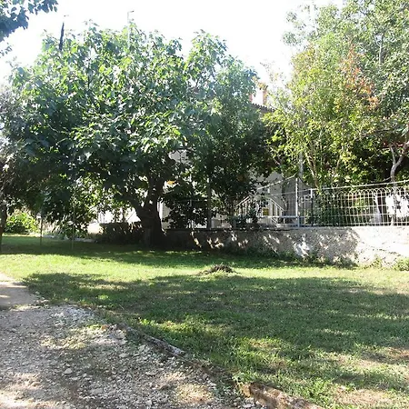 Andracic Apartment Pula